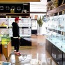 미니펫 강아지분양 고양이분양 강남점 이미지