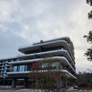 호텔티티(HOTEL T.T) | 중문 파르나스 호텔 제주(Parnas Hotel Jeju) 1박 2일...스위트' 숙박 후기, 파르나스 호텔 제주의 모든 것