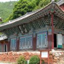 강진-48 이미지