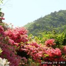 공설운동장(체육이외행사) Daum카페