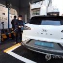 250 이미지