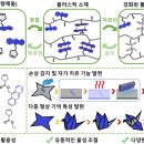 TOP 환경개발 이미지