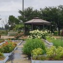 충의농장 이미지