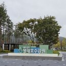 도안동로 | 대전 서구 산책•나들이•피크닉 추천 &lt;갑천생태호수공원&gt; 방문 후기