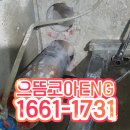 대경빌딩 이미지