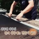 문김밥 & 커피 이미지