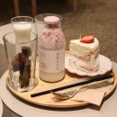 슬로우터틀 이미지