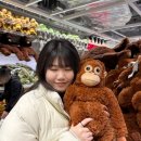 국앤밥 | 어느 j의 급발진 무계획적 라이프