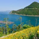 하도 해변 이미지