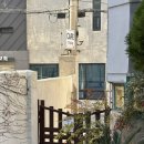 용호중학교 | 🎠부산 남구 애견카페🪴11월 4일 터줏대감 탄이가 소개해줌 ㅋ_ㅋ