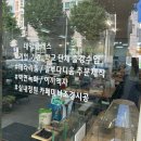 우리집원 | 광주테라리움 자연체험 더데라스튜디오 원데이클래스 후기｜내 손으로 만드는 미니 실내정원