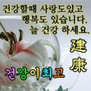 암관련 중요한 건강정보 이미지