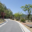 증산수도계곡캠핑장 이미지