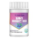 아이비젼 이미지