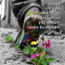 고핏 이미지