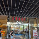 마루이참치 | 여행쇼핑리스트 칼디(KALDI) 쇼핑목록 칼디추천템 11가지 후기, 가격, 면세 (ft.칼디커피팜 하카타 마루이)