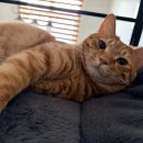 지에스25 병점진안점 | [병점헬스장] 새해맞이 초보자 유산소 루틴 만들어보자!