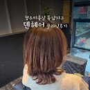 청주미용실 동남지구 덴헤어 클리닉후기