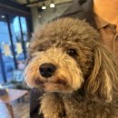 리하이브 이미지