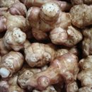 지랄돼지 이미지