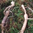 화랑공인중개사사무소 이미지