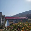 와인동굴 | [김해 가볼 만한 곳] 김해 와인동굴, 레일바이크 이색체험 후기