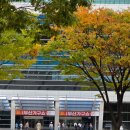 삼익쇼핑센타 | 10월 부산 벡스코 행사 2025부산가구쇼 방문 후기