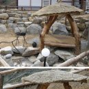 동해안 영덕대게의 고향 후포항인근 이쁜펜션 바다목장... 이미지