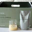 속 편한 아침 루틴 위건강식품 닥터효 유기농 양배추즙 솔직후기