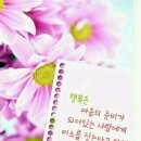 토요일 이미지