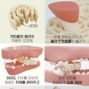 유일덴탈 이미지