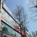 부천-중동-부천-12 | 부천 중동 백제칼국수 본점 솔직 후기,점심시간에 줄 서서 먹는 이유가 있더라구요