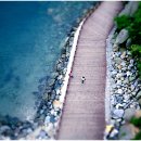 사진을 찍다 이미지