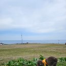 가파리 마을회관 | 마라도 애견동반 여행 강아지 데리고 갈만한 곳