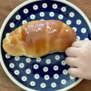 코코로팡 이미지