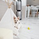 씻고놀개 이미지