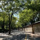 The샵 | [시청점심/시청역점심] 서울 시청역 부근 점심 먹기 좋은, 혼밥하기 좋은 리스트 모음