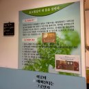 해진농장 | 대구 효소찜질 추천 대명동 자연사랑효소찜질생식원 솔직후기
