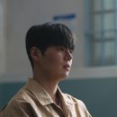 워터멜론플라워 동아일보