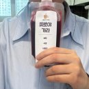 클렌즈 착즙주스 비트 ABC CCA 내돈내산 후기