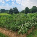 수원농장 이미지