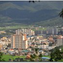 힐링우드2 이미지