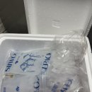 여름맞이 간헐적 클린식단하기 육식토끼 닭가슴살 소세지 5종 맛별 내돈내산 후기!
