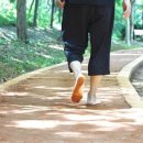 시흥시, 정왕동 ‘곰솔누리숲 황톳길’ /맨발 걷기로 힐링하는 산책길 인기 이미지