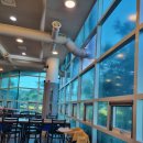 강원 철원 고석정 명성산 금학산 주변 맛집 민통선 한우촌 한우 물회 내 돈 내산 후기