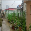 포항시남구44 이미지