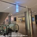 신세계백화점/신세계몰 센텀시티점 이미지