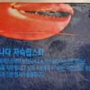지에스더프레시북 이미지