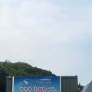 고양레저타운캠핑&바베큐