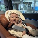 한라마트 | 아기랑 제주도 여행🍊🧡 그랜드조선제주, 조선델리, 한라수목원, 제주당, 새별오름, 고집돌우럭, 하나로...